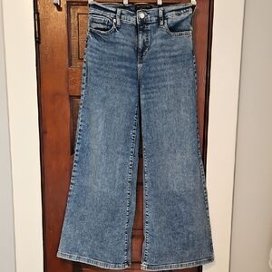 Banana Republic Blue Flare Jeans